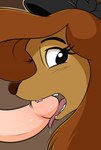 anatomically_correct bestiality black_eyes blush bodily_fluids brown_body brown_fur brown_hair brown_nose canid canine canis comic disney dixie_(tfath) domestic_dog drooling duo erection faceless_character faceless_male fellatio female female_focus female_on_human female_penetrated feral feral_penetrated fur genitals hair hi_res human human_on_feral human_penetrating human_penetrating_feral interspecies licking_tip looking_away looking_back male male/female male_on_feral male_penetrating male_penetrating_female mammal open_mouth oral penetration penile penis quadruped saliva saliva_on_tongue sex smitty_g solo_focus teeth the_fox_and_the_hound tongue tongue_out
