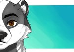 anthro brown_eyes male simple_background solo dunnowhattowrite badger mammal mustelid musteline