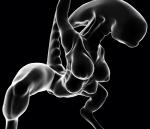 4_breasts black_background breasts female multi_breast nipples nude simple_background solo spread_legs spreading zevex alien_(franchise) alien humanoid xenomorph 3d_(artwork) black_and_white digital_media_(artwork) monochrome sculptris_(artwork)