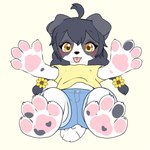 1:1 2024 3d_(artwork) 4_fingers 4_toes accessory ahoge anthro barefoot black_hair blush border border_collie bottomwear braided_hair braided_pigtails canid canine canis claws clothed clothing collie cotorita countershading cutoffs denim denim_bottomwear denim_clothing digital_media_(artwork) domestic_dog drpm feet female female_anthro finger_claws fingers floppy_ears flower flower_in_hair foot_focus fur grey_body grey_fur hair hair_accessory heart_symbol herding_dog hi_res kemono mammal mottled mottled_pawpads multicolored_body multicolored_fur multicolored_tail pastoral_dog pawpads paws pigtails plant sheepdog shirt shorts simple_background sitting sitting_on_ground solo t-shirt tail toe_claws toes tongue tongue_out topwear two_tone_body two_tone_tail white_background white_body white_border white_fur yellow_eyes