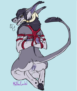 anthro anus bdsm black_body black_fur black_sclera bodily_fluids bondage bound cloven_hooves cum cum_from_ass cum_in_ass cum_inside fur genital_fluids grey_body grey_fur hooves horn kneeling leaking_cum looking_at_viewer looking_back looking_back_at_viewer male male_anthro nude nude_anthro nude_male open_mouth rear_view restraints rope rope_bondage rope_harness simple_background solo tail teeth yellow_eyes meldritchhorror mythology rosier canid canid_demon canine demon hellhound mammal mythological_canine mythological_creature 2016 hi_res