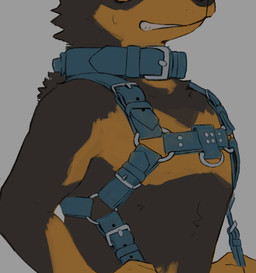 anthro black_body black_fur brown_body brown_fur collar eyeless fur grin harness male nervous nervous_smile simple_background smile solo stretching_harness three-quarter_view awwchang canid canine canis domestic_dog mammal hi_res