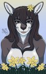 accessory anthro big_breasts blooms blue_eyes breasts brown_hair daffodil_(flower) female flower flower_in_hair hair hair_accessory nude open_mouth plant smile solo spring teeth tongue miss_rain raine_kirijo kangaroo macropod mammal marsupial cel_shading hi_res shaded