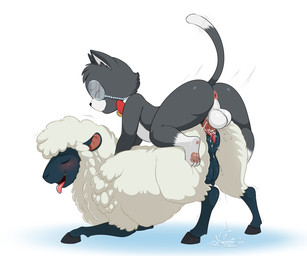 anthro anthro_on_feral anus balls bestiality black_body black_fur blush bow_tie butt caprine_teats caprine_udders duo eyewear female female_on_anthro female_penetrated feral fur genitals interspecies male male/female male_on_feral male_penetrating male_penetrating_female male_penetrating_feral monocle multicolored_body multicolored_fur narrowed_eyes open_mouth penetration penile_spines penis sex teats tongue tongue_out udders vaginal vaginal_penetration vulva white_body white_fur white_wool wool_(fur) lonbluewolf blackjack_(pinkbutterfree) bovid caprine domestic_cat felid feline felis mammal sheep 2025 6:5 hi_res