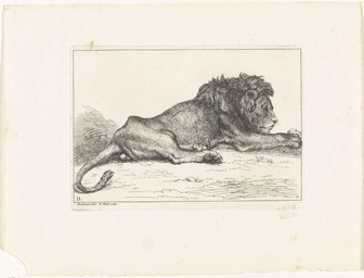 backsack balls barely_visible_balls barely_visible_genitalia digitigrade eyes_closed feral genitals lying lying_on_ground male male_feral mane on_ground pawpads paws quadruped side_view solo tail tail_tuft tuft bernard_picart public_domain felid lion mammal pantherine 1729 18th_century absurd_res ancient_art hatching_(art) hi_res monochrome shaded signature traditional_media_(artwork)