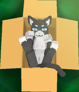 8_nipples :3 black_body black_fur blocky_body blocky_snout blue_eyes box cardboard cardboard_box container eyebrows eyelashes female feral fur genitals in_box in_container inner_ear_fluff inviting leg_markings lying markings multi_nipple multicolored_body multicolored_fur nipples on_back pawpads pink_pawpads pink_vulva presenting presenting_vulva quadruped socks_(marking) solo spread_legs spreading tail tuft vulva whiskers white_body white_fur feryllium ferry_(feryllium) domestic_cat felid feline felis mammal 3d_(artwork) blockbench_(artwork) digital_media_(artwork)
