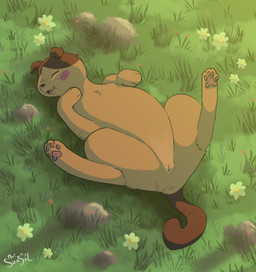 anus brown_nose cheek_markings eyes_closed facial_markings female feral floppy_ears flower fur genitals grass head_markings lying markings multicolored_body multicolored_fur on_back open_mouth pawpads paws plant presenting rock solo spread_legs spreading two_tone_body two_tone_fur vulva whiskers sunsol ghibli the_cat_returns natoru domestic_cat felid feline felis mammal digital_media_(artwork) hi_res krita_(artwork) shaded