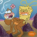 anal anal_penetration armor brown_body buckteeth doggystyle duo eye_roll female flower_cloud_(spongebob) from_behind_position genitals headgear helmet holding_object male male/female nude parody penetration penis rock sex sponge teeth unknown_artist nickelodeon spongebob_squarepants sandy_cheeks spongebob_squarepants_(character) mammal rodent sciurid tree_squirrel