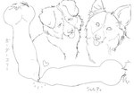 animal_genitalia animal_penis canine_genitalia canine_penis duo feral genitals kissing male penis penis_kissing text kouhaku773 border_collie canid canine canis collie domestic_dog herding_dog mammal pastoral_dog sheepdog shetland_sheepdog absurd_res hi_res japanese_text monochrome sketch translation_request