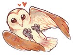 ambiguous_gender beak brown_eyes feathered_wings feathers feet feral heart_symbol looking_at_viewer lying on_back on_ground simple_background solo tail tail_feathers talons toes white_background wings flavia-elric avian barn_owl bird owl tyto tytonid 2019 digital_media_(artwork)