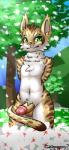 anthro balls biped countershading erection fur genitals green_eyes hair humanoid_genitalia humanoid_penis looking_at_viewer male nude penis plant rock smile solo stripes tree cutiepoppony nekojishi studio_klondike shu-chi felid feline leopard_cat mammal prionailurus 2017 digital_media_(artwork) hi_res