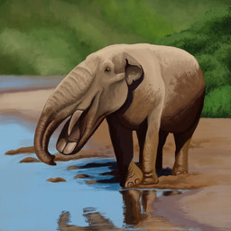ambiguous_gender black_eyes feral grass grey_body grey_skin plant proboscis_(anatomy) quadruped shrub solo trunk_(anatomy) tusks watering_hole agustindiazart mammal platybelodon prehistoric_species proboscidean 1:1 2022 hi_res
