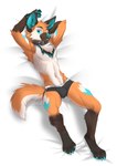 2023 4_toes anthro bed bed_sheet bedding blue_claws blue_eyes blue_tongue bulge canid canine chest_tuft claws clothed clothing collar feet furniture hi_res inner_ear_fluff koul looking_at_viewer lying maiao_(wafalex) male mammal maned_wolf navel on_back on_bed pawpads paws solo tail toe_claws toes tongue topless tuft underwear underwear_only