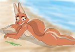 anthro beach beach_background butt female nude pose sand jrxt dreamworks the_bad_guys diane_foxington canid canine fox mammal hi_res pinup