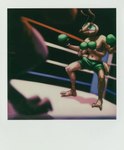 anthro black_eyes bodily_fluids boxing boxing_gloves clothing duo erection fighting_ring handwear male sport sweat twunk chirasul anthony_(zuzu) ant arthropod hymenopteran insect