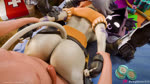 5_fingers :3 anthro anthro_focus anthro_penetrated arm_grab arm_pull armor balls bed bedding bent_over big_butt black_body black_clothing black_ear black_eyebrows black_eyes black_fingerless_gloves black_fur black_gloves black_handwear blinking blush bodily_fluids body_part_in_pussy bouncing_breasts bouncing_butt breasts brown_body brown_ear brown_fur brown_tail butt butt_ripples cheek_tuft clothed clothing cum cum_from_vagina cum_in_vagina cum_inside dipstick_tail ear_tuft elbow_pads erection eye_scar eyebrows faceless_character faceless_human faceless_male facial_scar facial_tuft fade_out fade_to_black female female_anthro female_focus female_penetrated ffm_threesome fingerless_gloves fingers footwear from_behind_position fur fur_markings furniture gauntlets genital_fluids genitals gloves group group_sex hand_on_arm hand_on_leg hand_on_shoulder handwear holding_leg hood human_on_anthro human_penetrating human_penetrating_anthro human_penetrating_female inner_ear_fluff interspecies leaking_cum legs_up light-skinned_male light_body light_skin looking_back looking_pleasured lying male male/female male_human male_penetrating male_penetrating_anthro male_penetrating_female markings moan multicolored_body multicolored_ears multicolored_fur multicolored_tail multiple_orgasms navel nipples notched_ear nude nude_human nude_male on_back on_bed orange_clothing orange_topwear orgasm partially_clothed partially_clothed_anthro partially_clothed_anthro_nude_male partially_clothed_female partially_clothed_female_nude_male penetration penile penile_penetration penis penis_in_vagina pillow pink_vulva prison_guard_position pull_out purple_body purple_ears purple_fur purple_markings scar sex sex_on_bed shadow_face shaking smile sweat sweaty_butt tail tail_around_partner tail_markings text thick_thighs threesome topwear trembling trio tuft v-bucks vaginal vaginal_fluid_string vaginal_fluids vaginal_penetration vulva white_body white_fur white_tail wide_hips babymoon sound_warning opennsfwsp_(va) s1nnerfox_(modeler) thebredfactory_(va) epic_games fortnite cate_meowdy raven_team_leader bear calico_cat domestic_cat felid feline felis human mammal 16:9 2025 3d_(artwork) 3d_animation animated artist_name digital_media_(artwork) hi_res huge_filesize long_playtime sound voice_acted webm widescreen