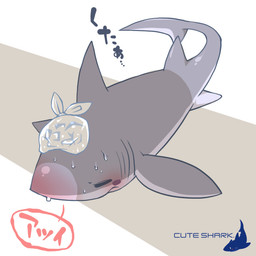 ambiguous_feral ambiguous_gender bag_on_head blush blush_stickers bodily_fluids dorsal_fin eyes_closed feral fin flushed frown gills heat_(temperature) high-angle_view ice_bag lying object_on_head on_front overheated pectoral_fin simple_background solo sweat tail tail_fin text mukomizu_kintora same_(mukomizu) aquatic fish shark 1:1 2013 full-length_portrait japanese_text portrait translation_request