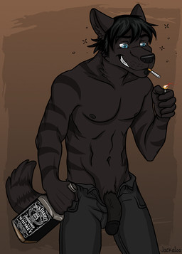 abs alcohol alcohol_bottle animal_genitalia anthro beer beverage beverage_bottle biceps biped black_body black_fur black_hair black_nipples black_nose black_penis blue_eyes bottle bottomwear bulge cigarette clothed clothing container drunk fangs fur genitals grin hair half-erect holding_bottle holding_container holding_object lighter male markings muscular muscular_anthro muscular_male nipples pants pecs penis pose presenting sheath smile solo standing stripes substance_intoxication teeth topless vein whiskey whiskey_bottle jackaloo brown-forman_corporation jack_daniel's jesse_(crocdragon89) canid canine canis domestic_dog mammal 2012