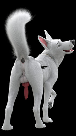 animal_genitalia animal_penis anus backsack balls black_background canine_genitalia canine_penis erection feral genitals knot knotted_penis looking_back male penis presenting presenting_anus simple_background smile solo tongue tongue_out redneck_redoubt bolt_(film) disney bolt_(bolt) canid canine canis domestic_dog german_shepherd herding_dog mammal pastoral_dog 3d_(artwork) 4k 9:16 absurd_res digital_media_(artwork) hi_res