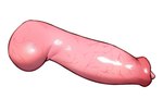 animal_genitalia animal_penis canine_genitalia canine_penis erection genitals glistening glistening_genitalia glistening_penis knot male penis pink_penis simple_background solo vein veiny_knot veiny_penis white_background supersquishy canid canine canis domestic_dog mammal wolf hi_res