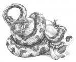 ambiguous_gender anthro blotch cum feline lion looking_pleasured male mammal penis plain_background python reptile scalie snake tapering_penis white_background
Rating: Explicit
Score: 4
User: Vinea
Date: April 08, 2014