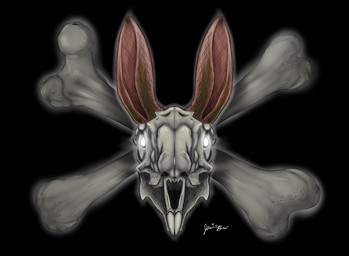 bone glowing glowing_eyes long_ears skull skull_and_crossbones jamie_bun_(artist) lagomorph leporid mammal rabbit