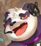 anthro blush clothing electronics fur headphones heart_eyes heart_symbol male purple_body purple_fur shirt solo tongue topwear white_body white_fur jmeo1230 lifewonders tokyo_afterschool_summoners alp_(tas) bear giant_panda mammal 2019 portrait