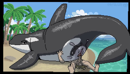 animal_genitalia animal_vulva balls beach bestiality big_balls big_dom_small_sub big_penis blep bodily_fluids cervix cetacean_genitalia cetacean_vulva cum cum_in_uterus cum_in_vagina cum_inside dominant dominant_female dominant_feral duo erection female female_feral female_on_human female_on_top female_penetrated feral feral_on_top feral_penetrated from_front_position genital_fluids genitals human_on_feral human_penetrating human_penetrating_female human_penetrating_feral humanoid_genitalia humanoid_penis internal internal_vaginal interspecies larger_female larger_feral larger_penetrated looking_pleasured lying male male/female male_on_feral male_penetrating male_penetrating_female male_penetrating_feral nude on_back on_top orgasm outside penetration penile penile_penetration penis penis_in_vagina restrained reverse_missionary_position sex size_difference smaller_human smaller_male submissive submissive_human submissive_male tail teeth throbbing throbbing_penis tongue tongue_out uterus vaginal vaginal_fluids vaginal_penetration water mustard_(welcometothevoid) cetacean cetecean dolphin human mammal marine oceanic_dolphin orca toothed_whale 2025 animated digital_media_(artwork) long_playtime no_sound pixel_(artwork) pixel_animation webm