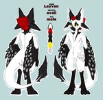 3_fingers 4_ears 4_toes anthro black_body black_feathers black_fur black_sclera black_scutes color_swatch feathered_wings feathers feet fingers fur hair male markings multi_ear neck_tuft red_body red_feathers red_hair red_markings scuted_arms scuted_legs scutes solo text toes tuft white_body white_markings winged_arms wings yellow_eyes ynulk layvan_(avali) avali avian bird 2025 absurd_res digital_media_(artwork) english_text hi_res model_sheet