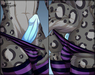 anthro anus balls_in_underwear balls_outline blue_anus blue_penis bulge clothed clothing crossdressing detailed_bulge erection genital_focus genital_outline genitals legwear male panties pattern_clothing pattern_legwear penis solo striped_clothing striped_legwear stripes underwear silvergrin felid leopard mammal pantherine