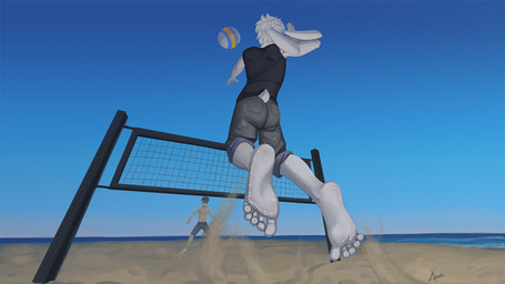 5_toes anthro ball beach bottomwear butt clothing detailed_background duo feet foot_focus fur hair humanoid_feet jumping male net pants plantigrade rear_view sand sea shirt sport toes topwear volleyball volleyball_(ball) volleyball_net water white_body white_fur white_hair alakser andy_(alakser) human lagomorph leporid mammal rabbit 16:9 widescreen