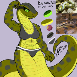 5_fingers abs anthro apode biceps big_tail bra breasts claws cleavage clothed clothing countershade_face countershade_neck countershade_scales countershade_tail countershade_torso countershading eyelashes facial_markings female finger_claws fingers fist flexing flexing_bicep forearm_muscles front_view green_body green_eyes green_scales grey_bra grey_claws grey_clothing grey_markings grey_panties grey_spots grey_underwear head_markings humanoid_hands legless long_neck long_tail looking_at_viewer markings medium_breasts muscular muscular_female non-mammal_breasts panties pupils quads scales serpentine slit_pupils smile smiling_at_viewer snout solo sports_bra spots tail tapering_tail text thick_tail triceps underwear ventral_scales wide_hips yellow_body yellow_countershading yellow_scales spe anaconda boa_(snake) boinae draconcopode green_anaconda naga reptile scalie snake snake_naga 1:1 2025 dated digital_drawing_(artwork) digital_media_(artwork) flat_colors hi_res model_sheet procreate_(artwork) reference_image signature species_name