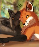 ambiguous_gender black_body black_fur black_nose duo feral fur grey_body grey_fur orange_body orange_eyes orange_fur smile white_body white_fur flashw canid canine fox mammal red_fox silver_fox true_fox 2022 digital_drawing_(artwork) digital_media_(artwork)