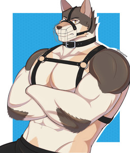 abs annoyed anthro arm_tuft big_muscles big_pecs black_bottomwear black_clothing black_collar black_harness black_pants blue_background border bottomwear closed_frown clothed clothing collar crossed_arms elbow_tuft frown fur furrowed_eyebrows harness looking_at_viewer male male_anthro mouth_closed multicolored_body muscular muscular_arms muscular_male muzzle_(object) muzzled navel orange_eyes outside_border pants pecs simple_background snout solo tan_body tan_fur text three-quarter_view topless topless_anthro topless_male tuft white_border pinpinavine alfonso_(raccsdatfapps) canid canine canis mammal wolf 2025 artist_name digital_media_(artwork) hi_res portrait signature three-quarter_portrait