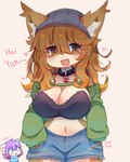 4:5 anthro belly big_breasts bottomwear bra breasts brown_eyes brown_hair canada_lynx clothing collar felid feline female fluffy fluffy_hair fur hair happy hi_res lily_(pankitsuki) lynx mammal pankitsuki shorts sleeves suggestive tan_body tan_fur thick_thighs torn_bottomwear torn_clothing torn_shorts underwear yuqikun