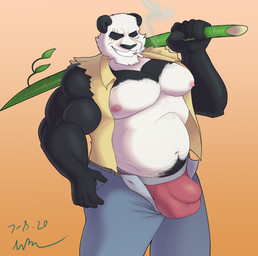 anthro bamboo belly belt black_body black_fur bottomwear bulge cigarette clothed clothing denim denim_bottomwear denim_clothing detailed_bulge facial_scar fur genital_outline grin jeans male musclegut muscular muscular_anthro muscular_male navel nipples open_bottomwear open_clothing open_pants open_topwear pants pecs penis_outline scar sleeveless_shirt smile solo topwear underwear white_body white_fur voyager's_scrapbook beastars gouhin_(beastars) bear giant_panda mammal 2020 absurd_res hi_res