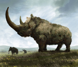 big_horn brown_body brown_fur feral fur grass group horn huge_horn plant proboscis_(anatomy) quadruped small_eyes solo_focus steppe tan_body tan_fur trio trunk_(anatomy) tusks mihin89 elephantid mammal mammoth prehistoric_species proboscidean rhinoceros woolly_mammoth woolly_rhinoceros 2018