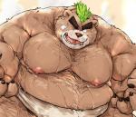 anthro asian_clothing belly big_belly bodily_fluids brown_body brown_fur clothing east_asian_clothing fur humanoid_hands japanese_clothing male mawashi moobs nipples one_eye_closed overweight overweight_anthro overweight_male solo sumo sweat wink kotobuki lifewonders tokyo_afterschool_summoners ashigara_(tas) bear mammal 2019