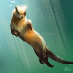 ambiguous_gender black_nose brown_body brown_fur bubble claws feral fur smile solo swimming tail underwater water whiskers goldendruid mammal mustelid otter 1:1 2016