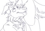 ahegao all_the_way_through anthro collar digitigrade ear_penetration ear_threading eye_roll hair in_one_ear_and_out_the_other looking_pleasured male male/male penetration penile penile_penetration pulling_hair threaded_by_penis tongue tongue_out touching_hair schmekel hi_res sketch