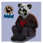 anthro bottomwear broken_heart chibi clothed clothing green_eyes heart_symbol lovesick male pants paws sad shirt sitting solo topwear netiscraft bear giant_panda mammal 1:1 hi_res