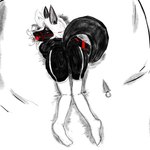 anthro ball_gag bdsm bed black_body black_fur bondage bound breasts clothing colored_fingernails colored_nails cuff_(restraint) ear_piercing ear_ring female fingernails footwear fur furniture gag gagged hair jewelry legwear legwear_only lingerie mostly_nude nails nervous piercing presenting red_eyes red_fingernails red_nails restraints ring_piercing sex_toy socks solo stockings stockings_only vibrator wand_vibrator white_hair gueststar natasha_(gueststar) anubian_jackal canid canine canis humanoid jackal mammal 1:1