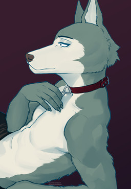 anthro bedroom_eyes claws collar fluffy male muscular narrowed_eyes seductive solo thefloofdragon beastars legoshi_(beastars) canid canine canis mammal wolf absurd_res hi_res sketch