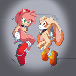 adolescent age_difference angry anthro bodily_fluids boots bound breasts chain chained clenched_teeth clothing collar duo female footwear footwear_only hands_behind_back lock lying mostly_nude navel on_side padlocked_collar scared shoes shoes_only tears teeth young young_anthro young_female younger_anthro younger_female ffisf sega sonic_the_hedgehog_(series) amy_rose cream_the_rabbit eulipotyphlan hedgehog lagomorph leporid mammal rabbit 1:1 absurd_res hi_res