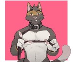 anthro collar leash looking_at_viewer male muscular muscular_male nipples nude red_eyes simple_background solo spiked_collar spikes gato_matero barley_(barleythecat) domestic_cat felid feline felis mammal digital_media_(artwork) shaded