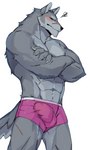 2021 absurd_res anthro blush bulge canid canine canis clothing countershading crossed_arms detailed_bulge eyes_closed facial_scar fur genital_outline grey_body grey_fur hi_res impwitter male mammal multicolored_body multicolored_fur muscular muscular_anthro muscular_male penis_outline scar simple_background solo two_tone_body two_tone_fur underwear wolf