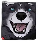 anthro black_lips blue_eyes cape clothing facial_piercing labret_piercing lip_piercing lips looking_at_viewer male piercing solo teeth ottermajor adastra adastra_(series) echo_project amicus_(adastra) canid canine canis mammal wolf hi_res