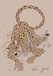 4_toes 5_fingers anthro feet fingers fur looking_at_viewer male markings nude solo spots spotted_body spotted_fur tan_body tan_eyes tan_fur toes antanariva cheetah felid feline mammal 2023 digital_media_(artwork) hi_res