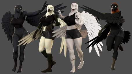 5_fingers 5_toes anthro barefoot black_body black_feathers bottomwear breasts clothed clothed_anthro clothed_female clothing feathers feet female fingers group humanoid_feet humanoid_hands plantigrade shirt shorts standing tail toes topwear white_body white_feathers winged_arms wings petruz petruz_(modeler) avian bird corvid corvus_(genus) oscine passerine raven 16:9 3d_(artwork) blender_(artwork) digital_media_(artwork) hi_res widescreen