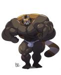 4_fingers 5_toes anthro beard biceps big_muscles black_nose brown_body brown_fur brown_hair bulge clothing facial_hair feet fingers flexing fur green_eyes hair huge_muscles male multicolored_body multicolored_fur muscular muscular_anthro muscular_male pecs plantigrade red_body red_fur simple_background solo standing toes underwear white_background white_body white_fur talegas crumble_(character) ailurid mammal red_panda 2015